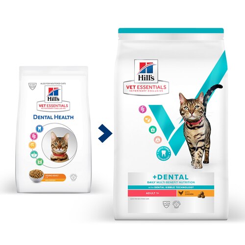 Multi-Benefit + Dental Adult 1+ Dry Cat Food Key Benefits