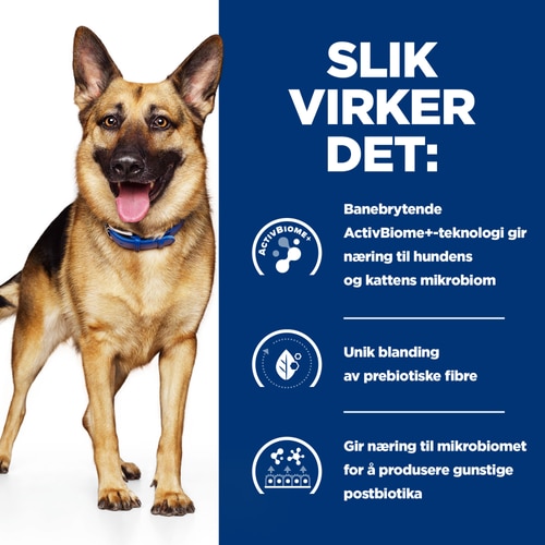 Gastrointestinal Biome våtfôr til hund Hvordan det fungerer