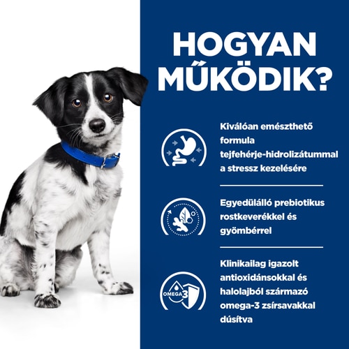 Hogyan működik