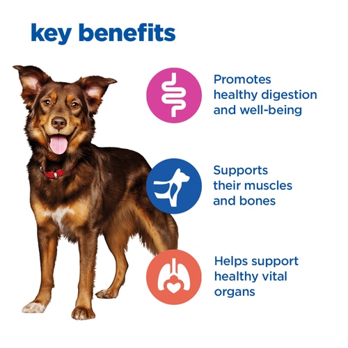Multi-Benefit Mature Adult Wet Dog Food Key Benefits