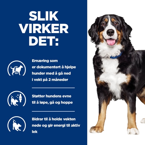 Metabolic + Mobility hundefôr Hvordan det hjelper
