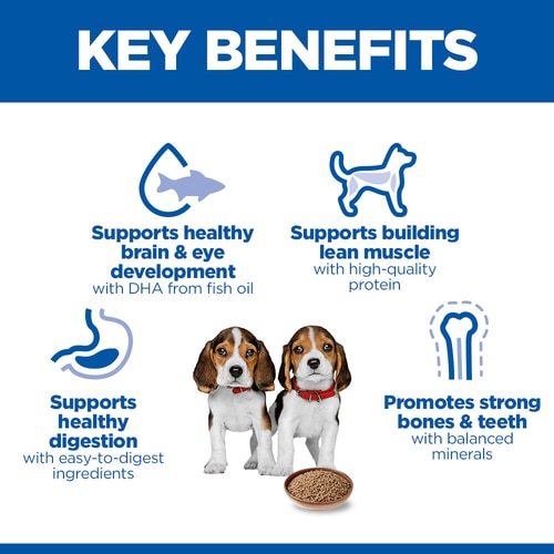 Puppy Food Key Benefits