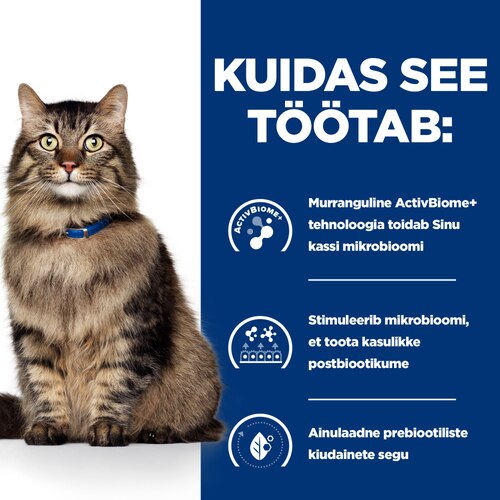Gastrointestinal Biome hautis kassidele Kuidas see töötab