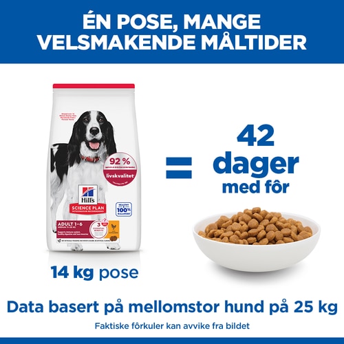 Medium Adult Hundefôr Marketing claim