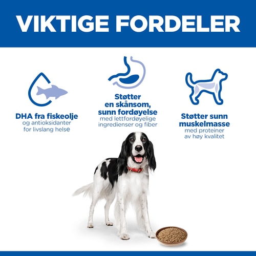 Canine Adult hundefôr Key Benefits