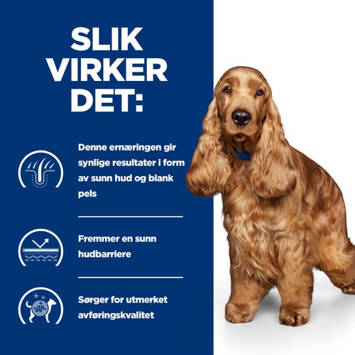 Hvordan det hjelper