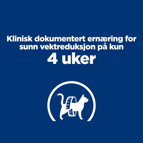 Viktige fordeler