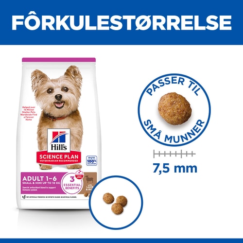 Small & Mini Adult Hundefôr Bilde av fôret