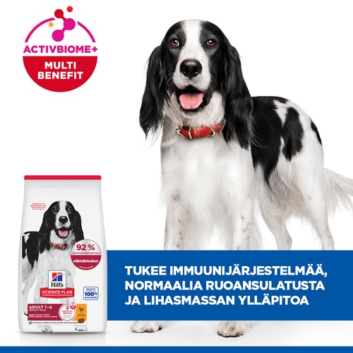 Medium Adult koiranruoka Keskeiset ominaisuudet