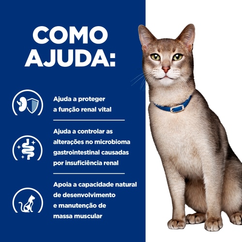 k/d alimento para gato Como ajuda