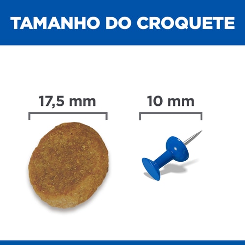 alimento para cão adulto maturo de raça grande Imagem do alimento