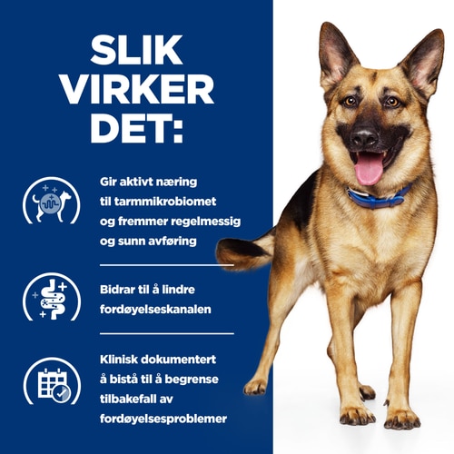 Gastrointestinal Biome våtfôr til hund Hvordan det hjelper