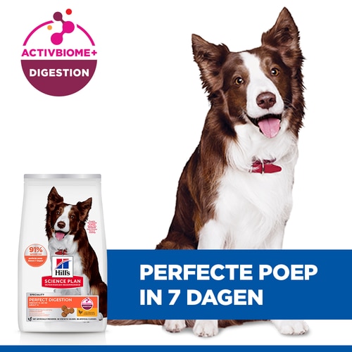 Perfect Digestion Medium Adult Hondenvoer met Kip & bruine Rijst Belangrijkste kenmerken