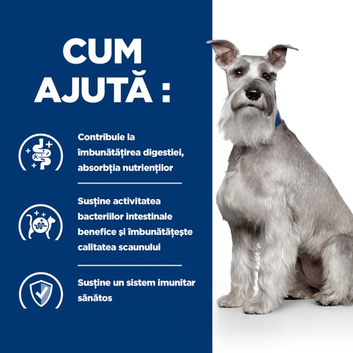 Cum ajută