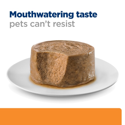 k/d Cat Food Food Shot
