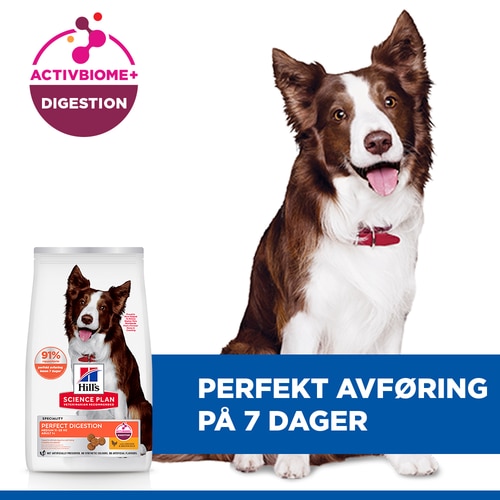 Perfect Digestion Medium Adult 1+ hundefôr Viktige fordeler