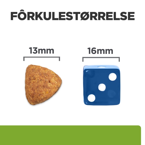 Metabolic hundefôr Kuva ruoasta
