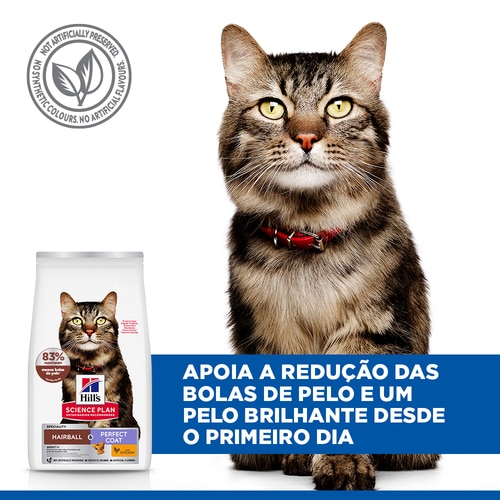 Hairball & Perfect Coat alimento para gato adulto Alegação chave
