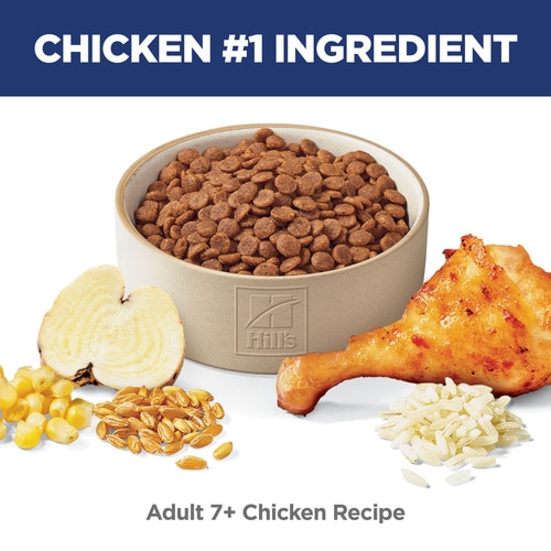 Adult 7+ Chicken Recipe Cat Food Food Shot Scale