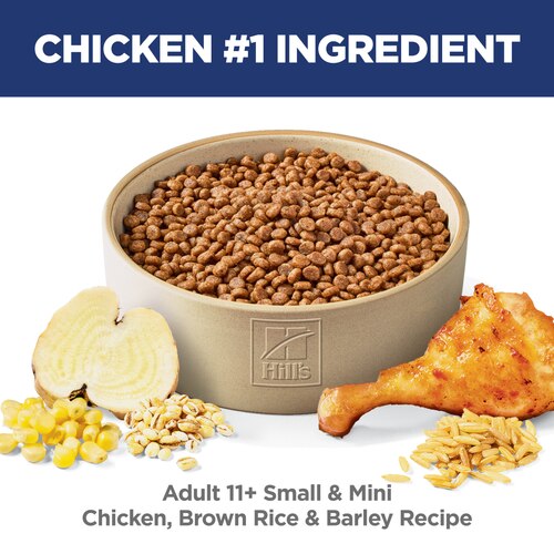 Adult 11+ Small & Mini Chicken, Brown Rice & Barley Recipe Dog Food Food Shot Scale