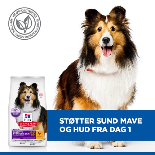 Sensitive Stomach & Skin Medium & Large Breed Adult hundefoder Vigtigste funktioner