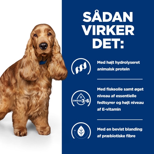 Hvordan det virker