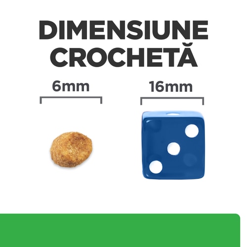 Imagine hrană